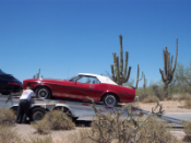 Red with white kaleche