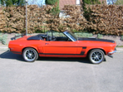 Red with black kaleche