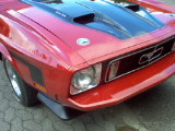 Red with white kaleche