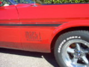 Red with white kaleche