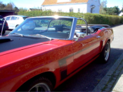 Red with black kaleche