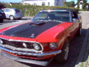 Red with black kaleche