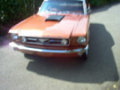 IM000778.JPG, 175*131