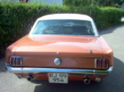 IM000779.JPG, 175*131