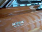 IM000790.JPG, 175*131