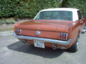 IM000798.JPG, 175*131