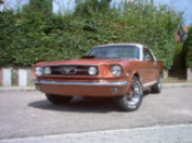 IM000802.JPG, 175*131