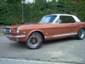 IM000803.JPG, 175*131